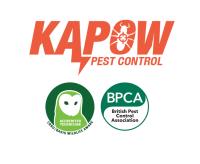 Kapow Pest Control image 3